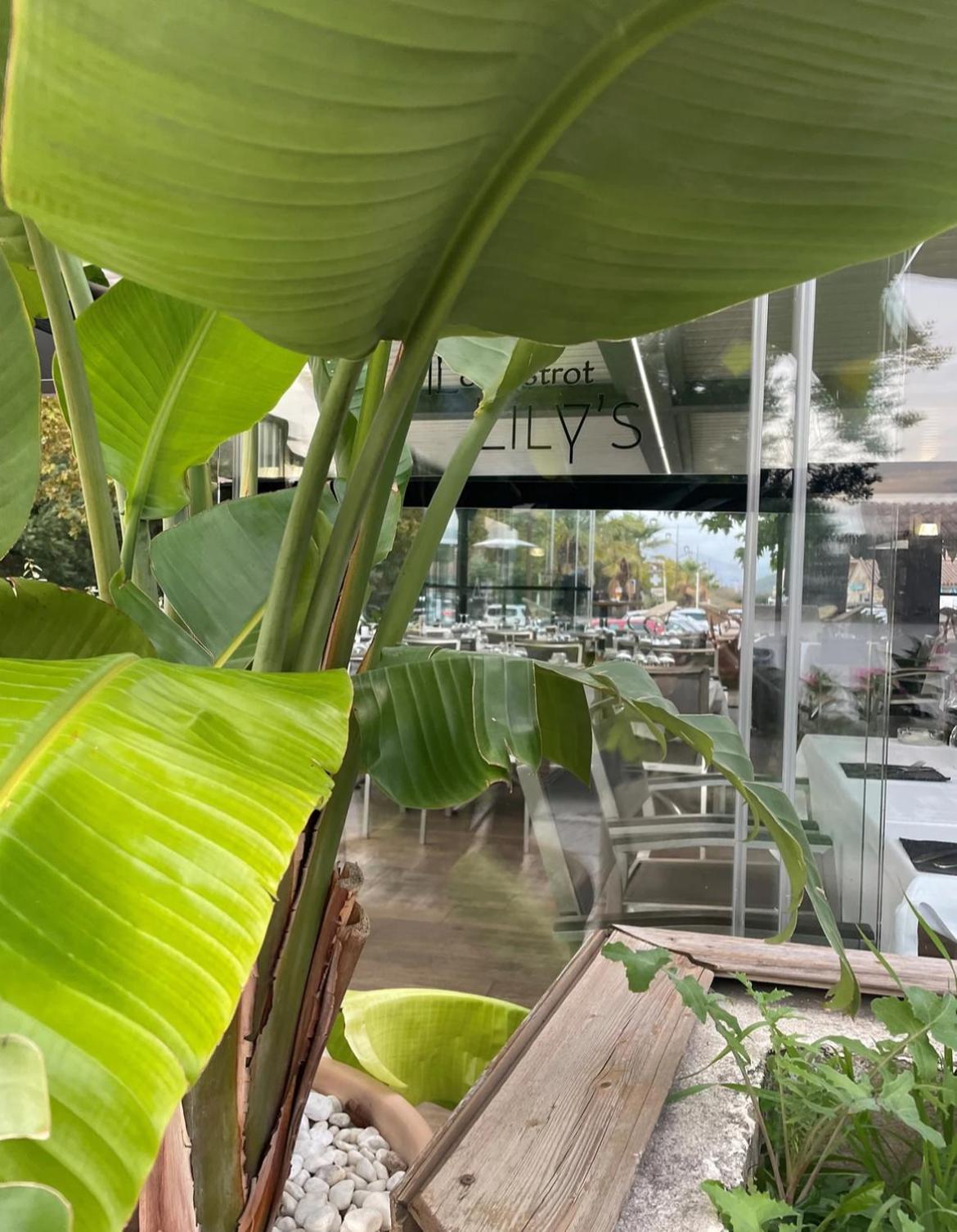 Studio 28 M2 Porticcio Centre Luaran gambar